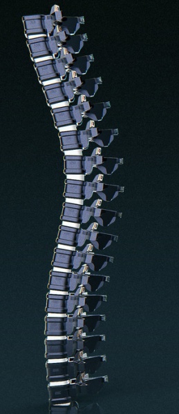 File:Tumblr odowgym3Mo1sfa0r3o2 500.jpg