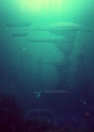 Thumbnail for version as of 11:22, 19 June 2017