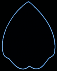 Câroon-Penis.png