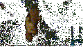 Thumbnail for version as of 09:07, 19 August 2017