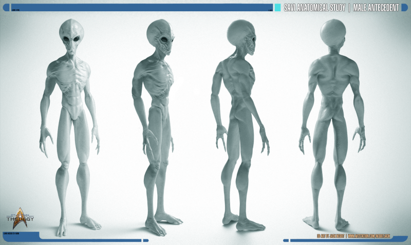 File:SHEROMI-MALE-FOUR-ANGLES.png