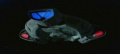 Thumbnail for version as of 09:10, 22 October 2016