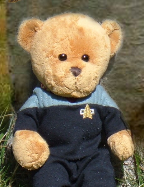 File:Captain bear.jpg