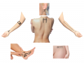 Thumbnail for version as of 13:50, 14 August 2020