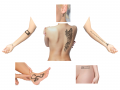 Thumbnail for version as of 18:20, 16 August 2020