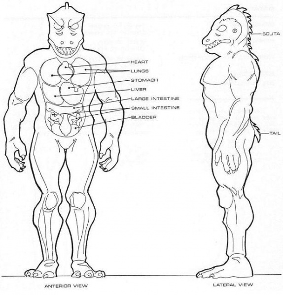 File:HomoLacertae.jpg