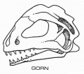 Thumbnail for version as of 15:15, 3 April 2020