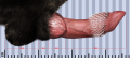 Thumbnail for version as of 00:30, 16 June 2017
