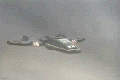 Aerowinganimation03.gif