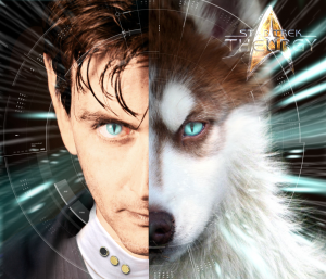 RENARD TRANSFORM.png