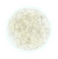 Thumbnail for version as of 12:39, 21 April 2017